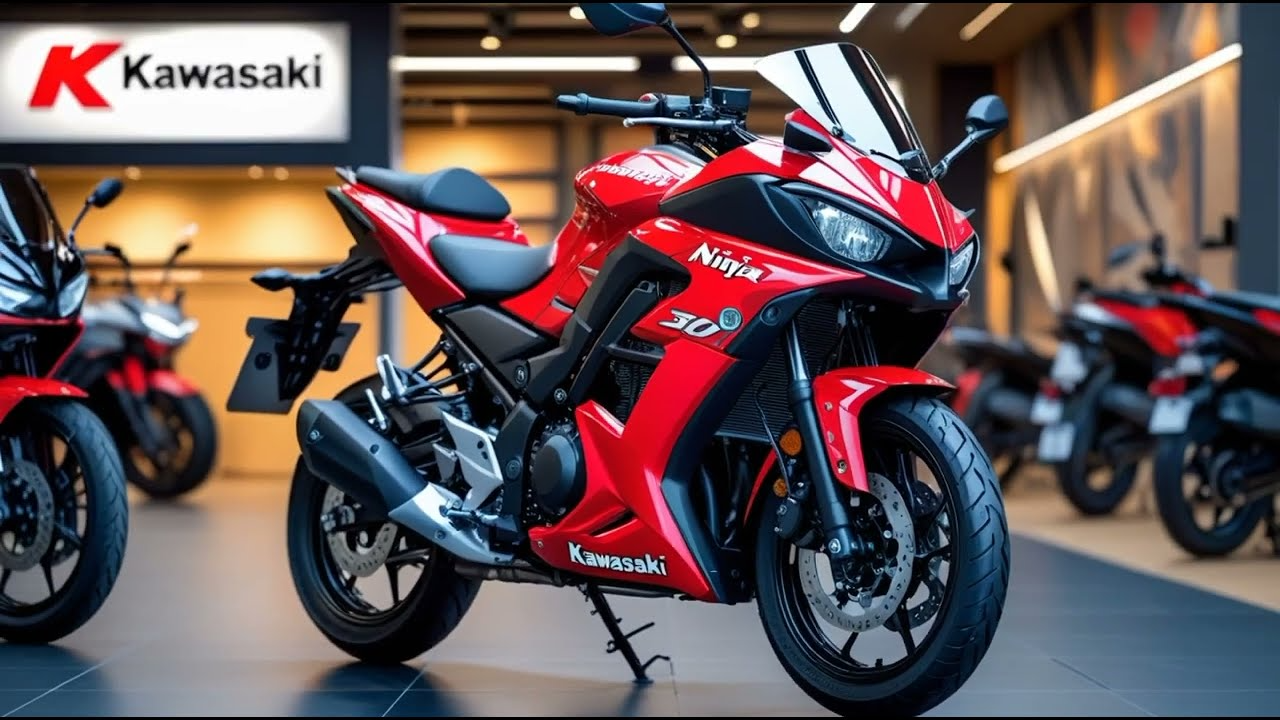 Kawasaki Ninja 300